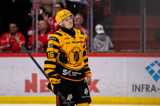 Skellefteås Linus Lindström deppar
