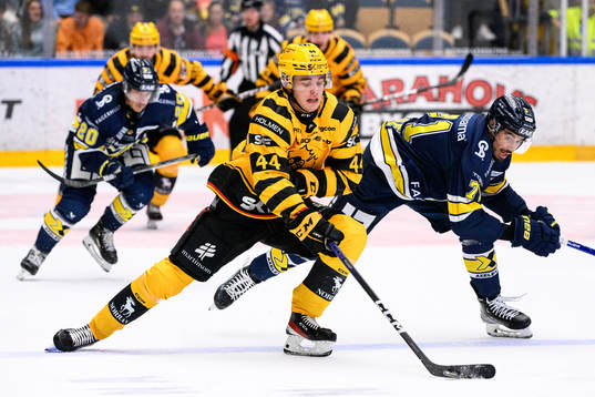 Skellefteås Elias Salomonsson och HV71s Tyler Vesel