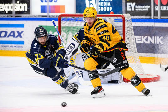 HV71s Tyler Vesel och Skellefteås Andreas Wingerli