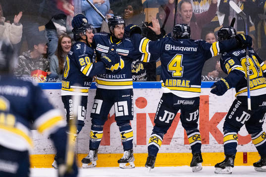 HV71s Tyler Vesel jublar