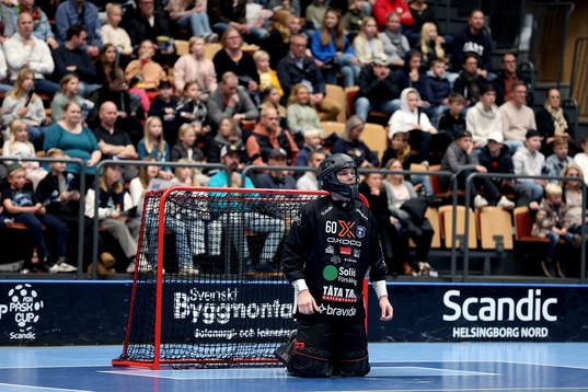 Helsingborgs målvakt Jonathan Edling
