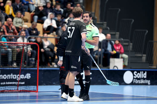 Domare i diskution med Helsingborgs Pontus Sölve