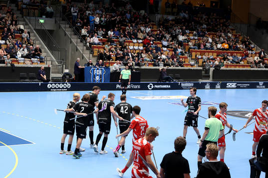 Helsingborg jublar