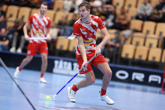 Pixbos Linus Nestorsson