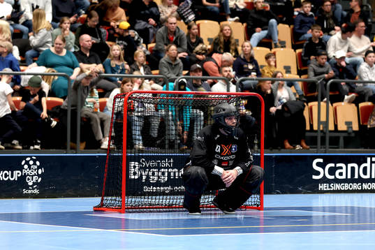 Helsingborgs målvakt Jonathan Edling