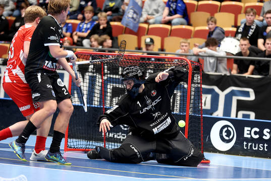 Pixbos målvakt Jon Hedlund