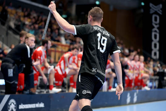 Helsingborgs Linus Bergström