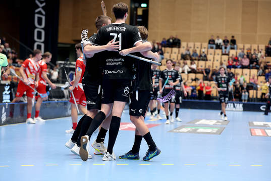 Helsingborg jublar