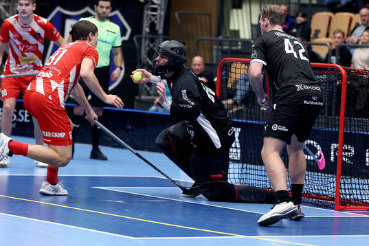 Helsingborgs målvakt Jonathan Edling