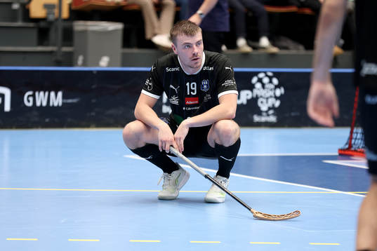 Helsingborgs Linus Bergström deppar