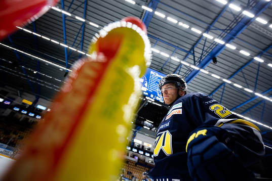 HV71s Joonas Nättinen