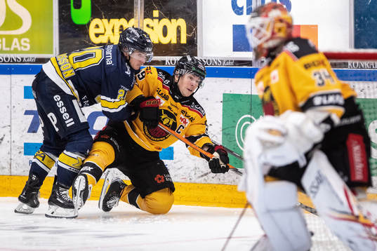 HV71s André Petersson och Luleås Erik Gustafsson