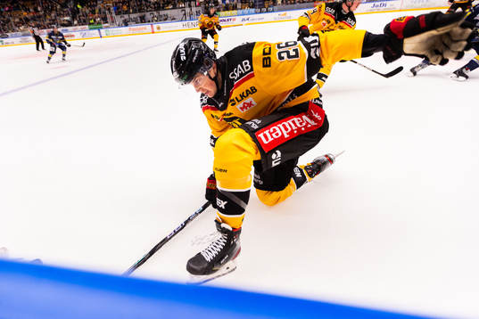 Luleås Radek Muzik