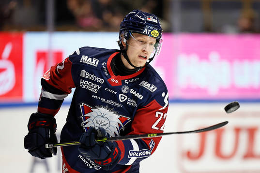 Linköpings Vilmos Gallo