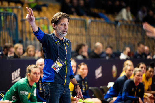 Head coach Tomas Axner of Sweden