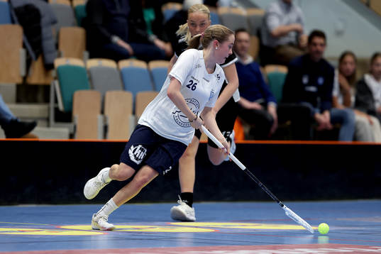 Täbys Moa Lindau Dynefalk