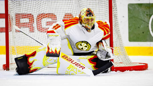 Brynäs målvakt Anders Lindbäck