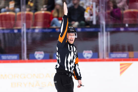 Domare Mikael Holm