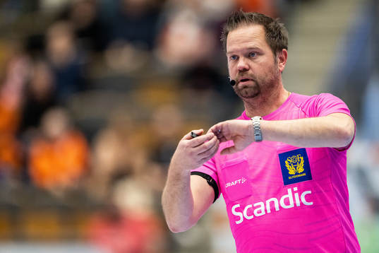 Domare Michael Sandtröm