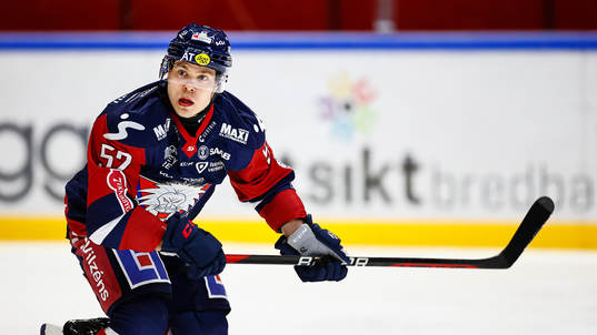 Linköpings Petrus Palmu