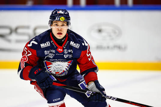 Linköpings Petrus Palmu