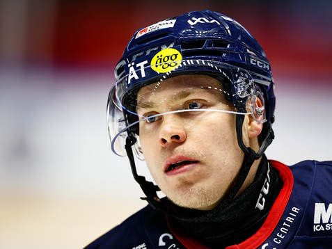 Linköpings Petrus Palmu