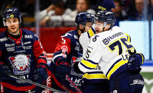 HV71s Radan Lenc jublar