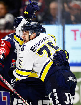 HV71s Radan Lenc jublar