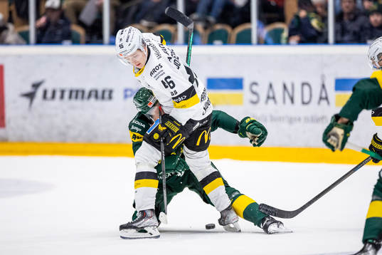 Västerås Liam Dower Nilsson och Björklövens Daniel
