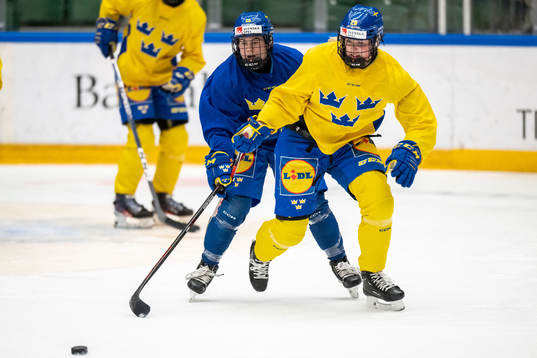 Lisa Johansson and Olivia Carlsson of Sweden at a training