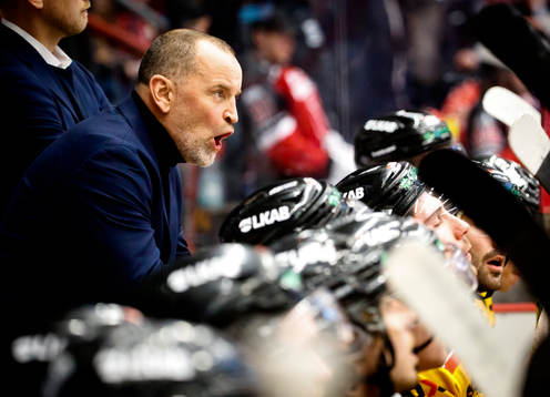 Luleås tränare Thomas Berglund