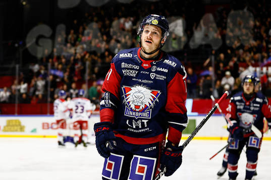 Linköpings Henrik Törnqvist jublar
