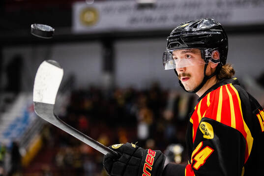 Brynäs Hannes Björninen