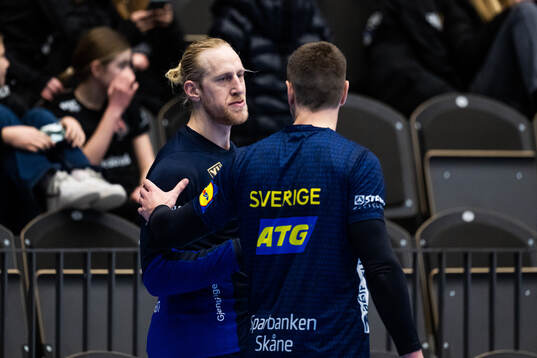 målvakt Mikael Appelgren och målvakt Andreas Palicka