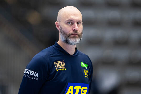 Videoanalytiker Björn Sätherström