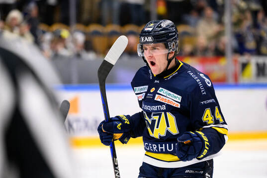 HV71s Emil Andrae jublar