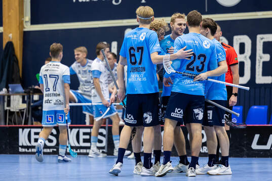 Warbergs spelare jublar