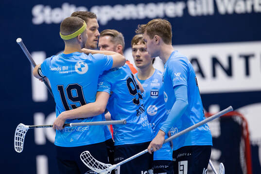 Warbergs spelare jublar
