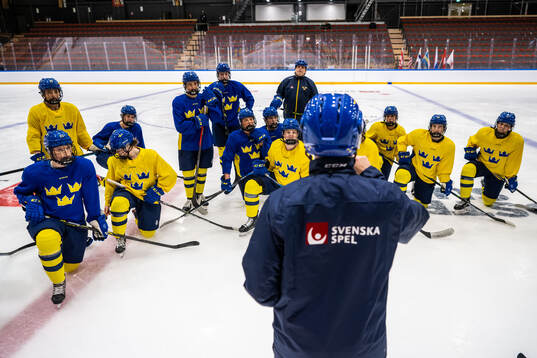 Players of Sweden at a practice session
