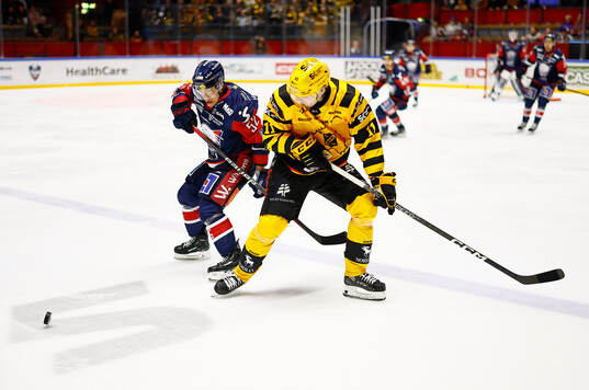 Linköpings Petrus Palmu och Skellefteås Max Lindholm