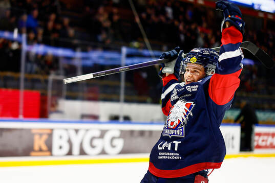 Linköpings Mattias Hävelid jublar
