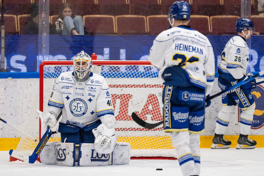 Leksands målvakt Mantas Armalis deppar