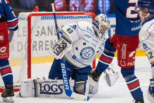 Leksands målvakt Mantas Armalis deppar