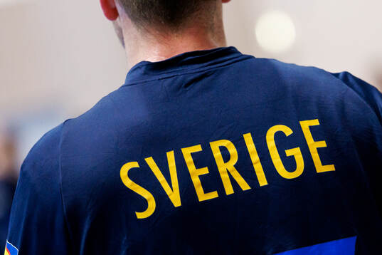 Tröja med Sverige