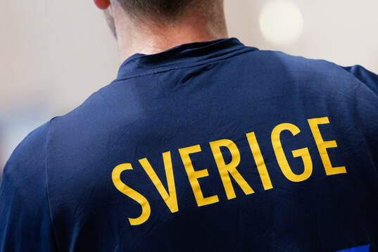 Tröja med Sverige