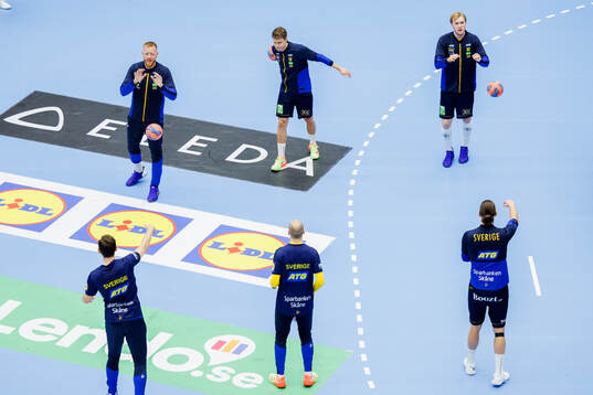 Players of Sweden
