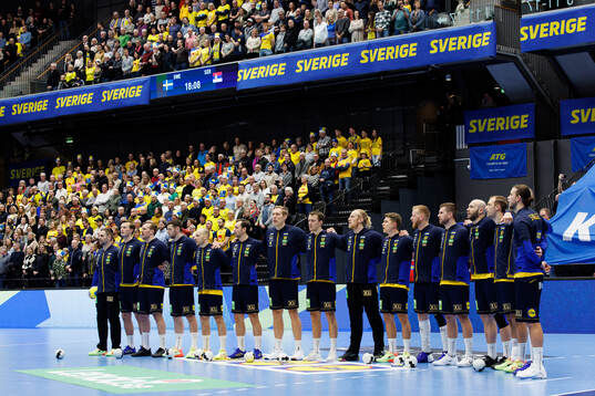 The Swedish players