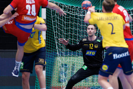 Goalkeeper Andreas Palicka of Sweden