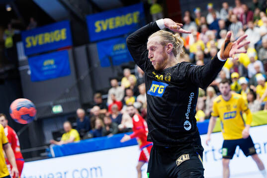 Goalkeeper Mikael Appelgren of Sweden