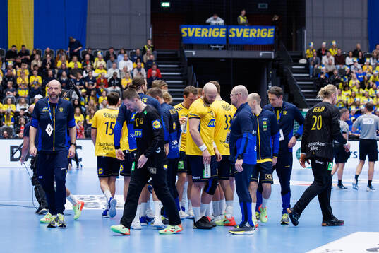 Players of Sweden